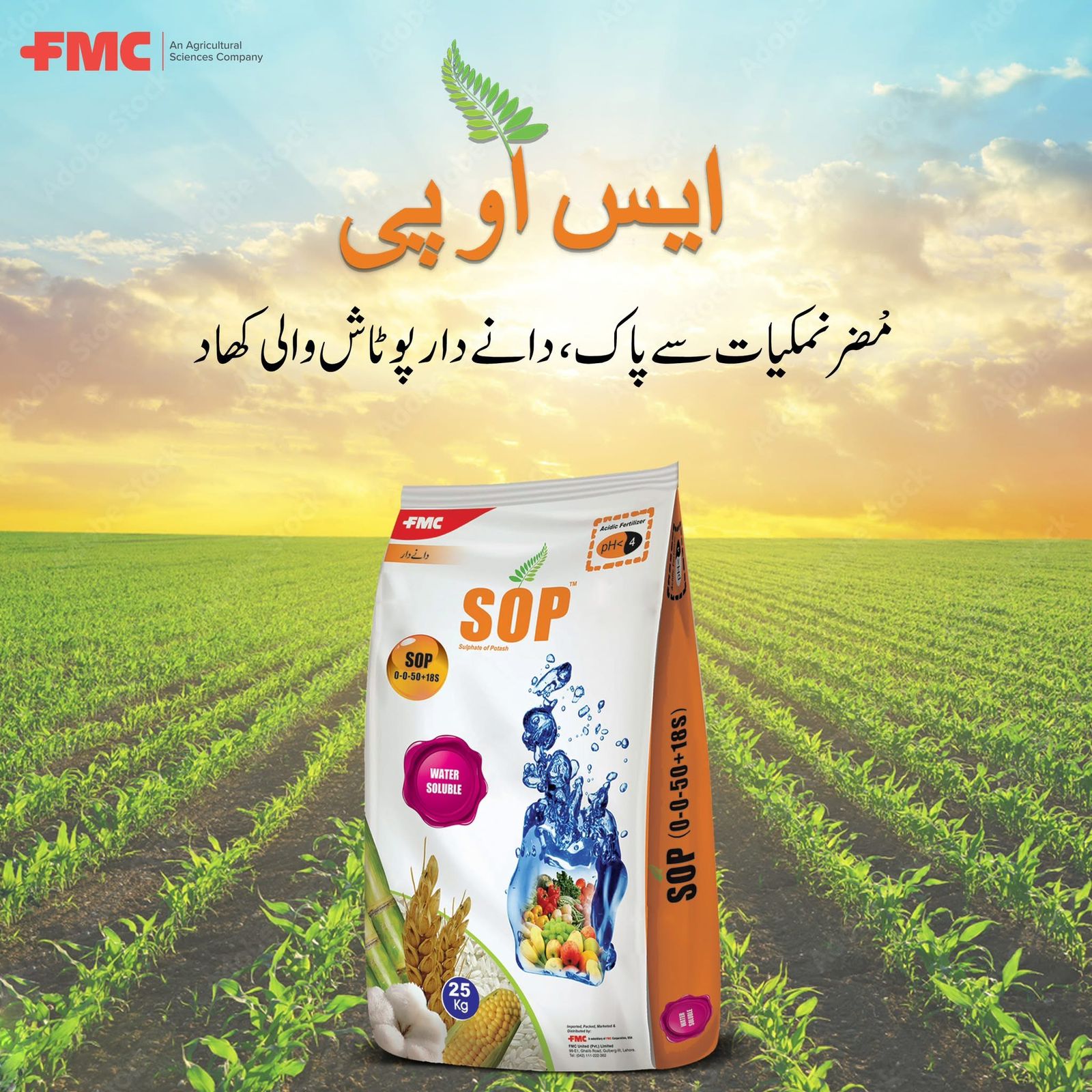 SOP - Granular 0-0-50+18s, , 25kg SOP FMC Sulfate Of Potash Macro Nutrient Ph < 4 سلفیٹ آف پوٹاش - Image 3