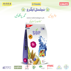 SOP - Crystal , 0-0-50+18s,  سلفیٹ آف پوٹاش
