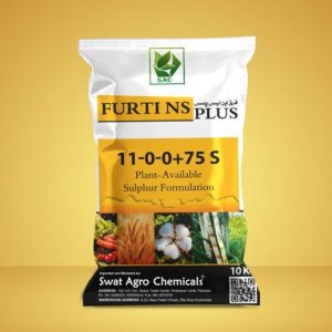 Furti NS Plus