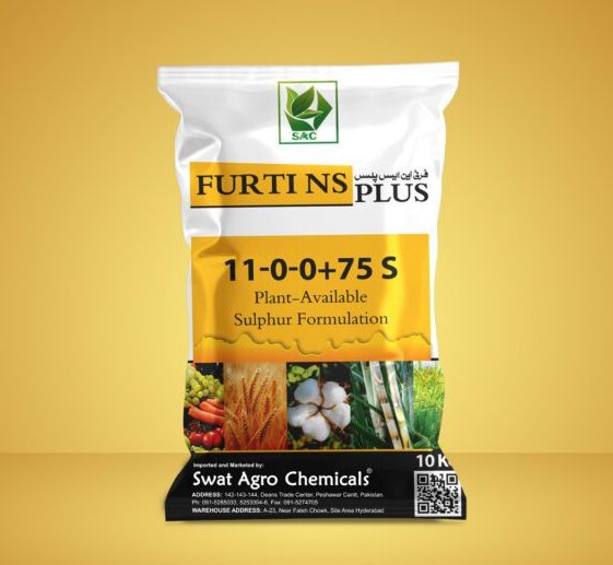 Furti NS Plus