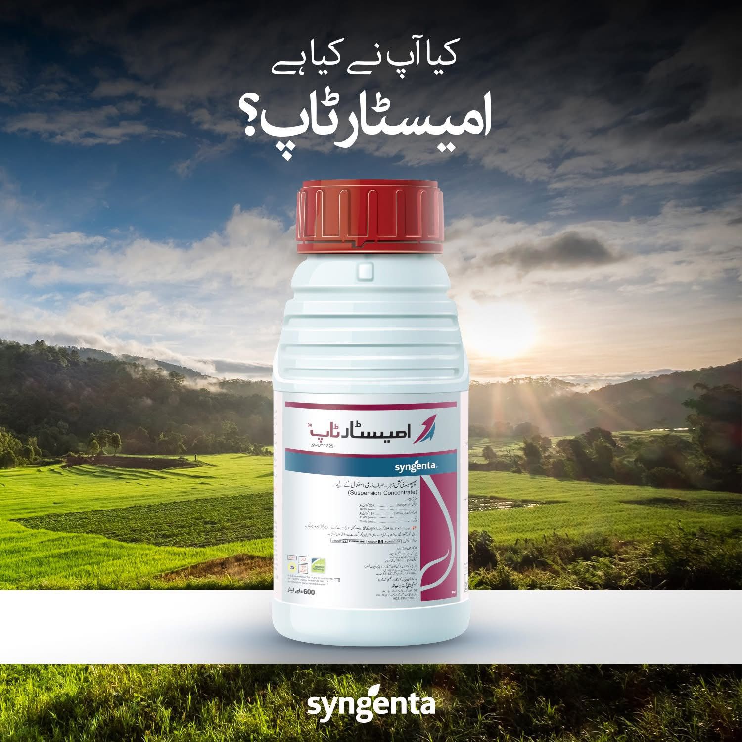AMISTAR TOP 325 SC 200 ML - Image 3