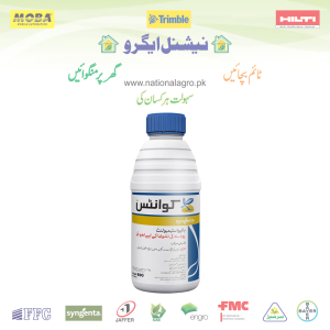 QUANTIS 800 ML