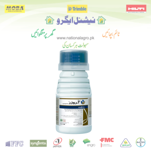 CRUISER 100 ML